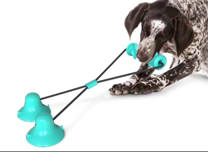 ventosa-doble-molar.jpg ventosa doble molar