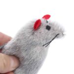 1908071602484-1-1.jpg 1908071602484 1 1