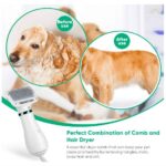 2-en-1-secador-y-cepillo-animal-lovers-1.jpg 2 en 1 secador y cepillo animal lovers 1