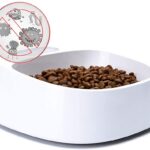 51X5bgRAALL._AC_SL1000_-1.jpg 51X5bgRAALL. AC SL1000 1