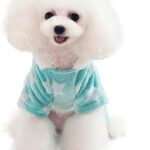 51wfaZjkJLL._AC_SX466_-1.jpg 51wfaZjkJLL. AC SX466 1