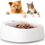 51ycaK0D3KL._AC_SL1000_-1.jpg 51ycaK0D3KL. AC SL1000 1