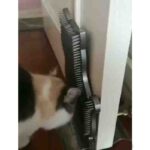 7807661001256-4-1.jpg 7807661001256 4 1