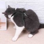 7807663001459-2-1.jpg 7807663001459 2 1