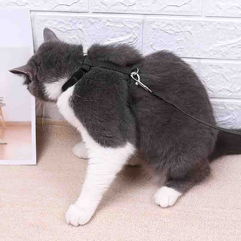 7807663001459-2-1.jpg 7807663001459 2 1