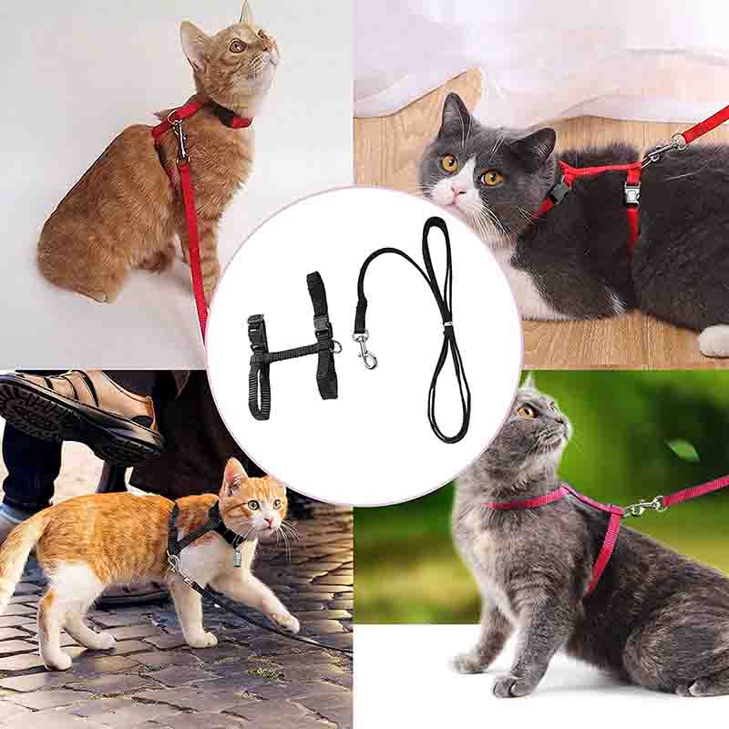 7807663001460-3-1-1.jpg 7807663001460 3 1 1