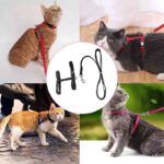 7807663001460-3-2.jpg 7807663001460 3 2