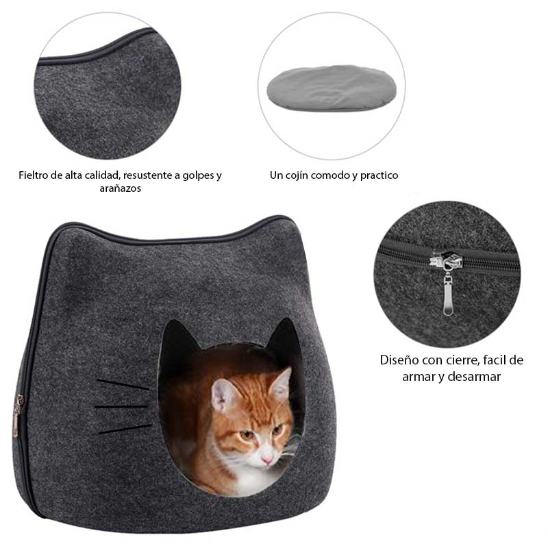 7807663001556-4-1.jpg 7807663001556 4 1