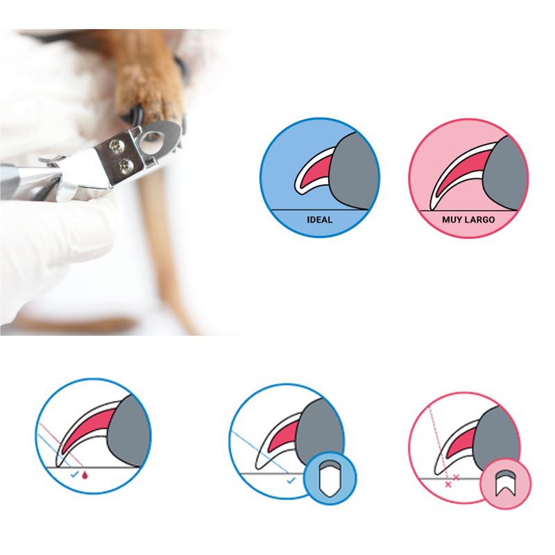 7807663001617-4-1.jpg 7807663001617 4 1