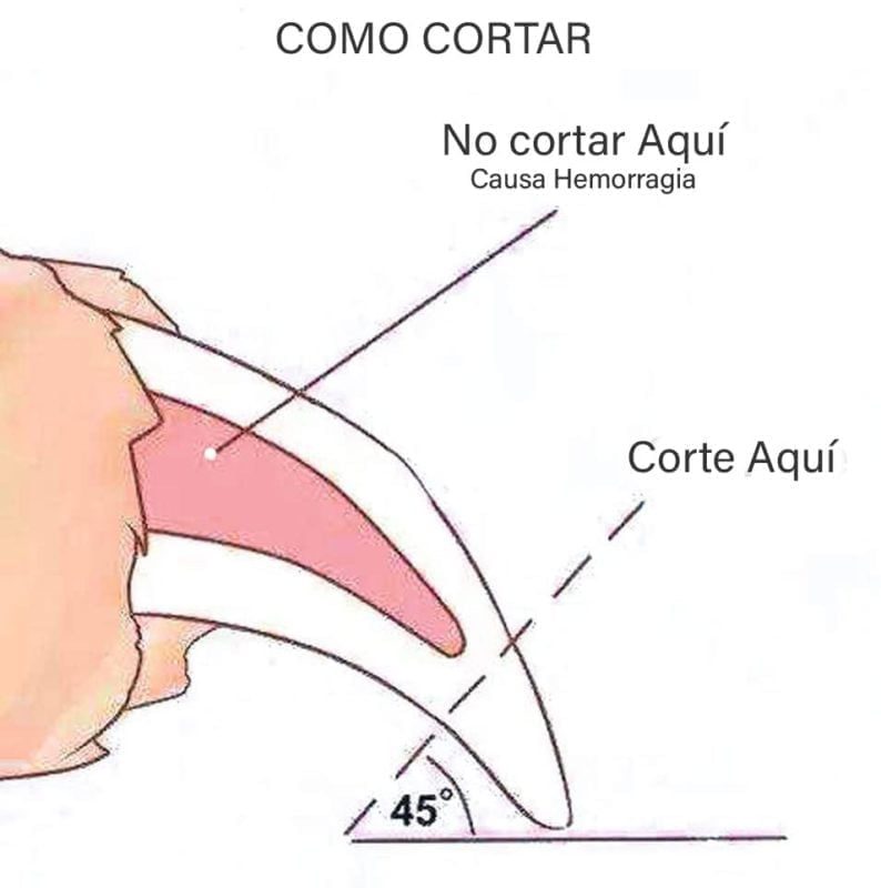 7807663001617-5-1.jpg 7807663001617 5 1