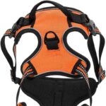 7807663001821-2-1.jpg 7807663001821 2 1