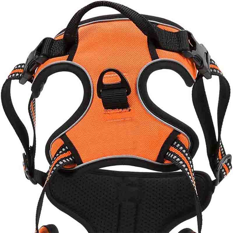 7807663001821-2-1.jpg 7807663001821 2 1