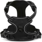 7807663001822-2-1.jpg 7807663001822 2 1