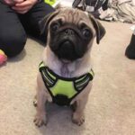 7807663001824-3-1.jpg 7807663001824 3 1