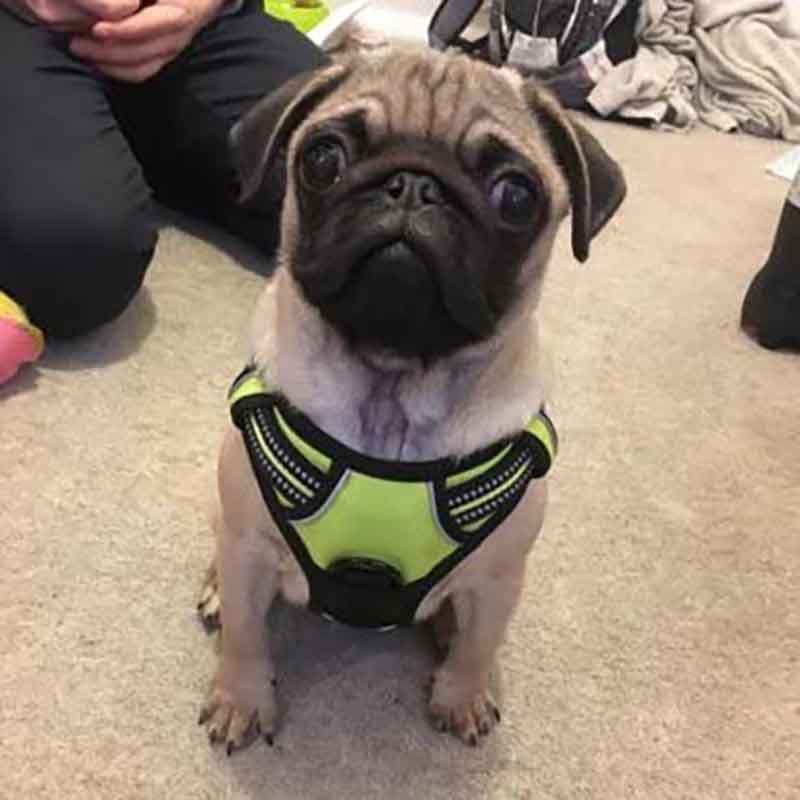 7807663001824-3-1.jpg 7807663001824 3 1