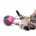 Juguete Dispensador de Comida Juguete Dispensador de Comida