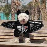 7807668001782-1-1.jpg 7807668001782 1 1