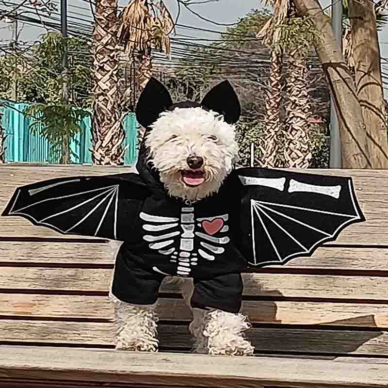 7807668001782-1-1.jpg 7807668001782 1 1