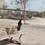 7807668001782-3-1.jpg 7807668001782 3 1