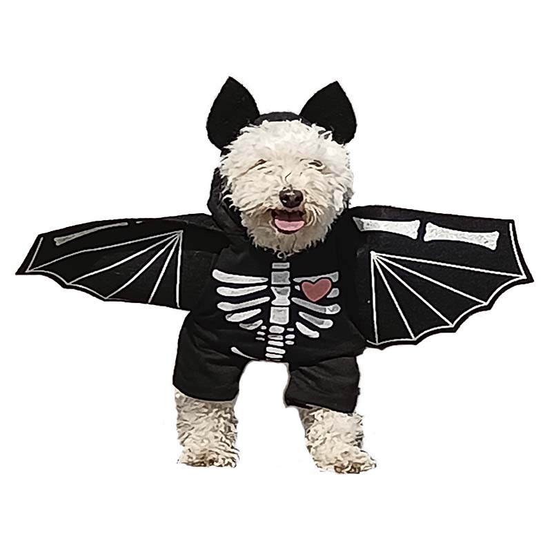 7807668001782-4-1.jpg 7807668001782 4 1