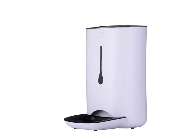 A-36-5-Animal-loverss-2.jpg A 36 5 Animal loverss 2