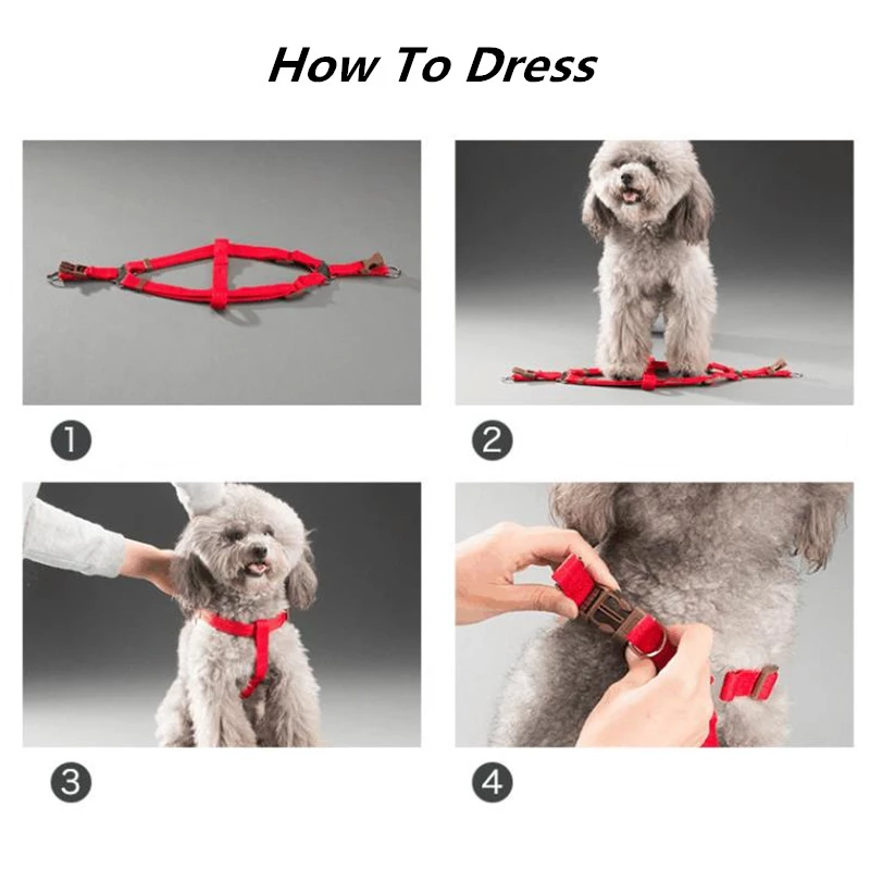 Arn-s-de-nailon-a-rayas-para-perro-conjunto-de-correa-ajustable-para-caminar-Collar-de.jpg_Q90.jpg_-1-1.webp Arn s de nailon a rayas para perro conjunto de correa ajustable para caminar Collar de.jpg Q90.jpg 1 1