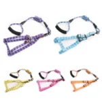 Arn-s-de-nailon-a-rayas-para-perro-conjunto-de-correa-ajustable-para-caminar-Collar-de.jpg_Q90.jpg_-2.webp Arn s de nailon a rayas para perro conjunto de correa ajustable para caminar Collar de.jpg Q90.jpg 2