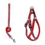 Arnes-correa-1cm-reflectante-arnes-2cm-Rojo-1-1.jpg Arnes correa 1cm reflectante arnes 2cm Rojo 1 1