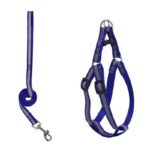 Arnes-correa-1cm-reflectante-arnes-2cm-azul-1-1.jpg Arnes correa 1cm reflectante arnes 2cm azul 1 1