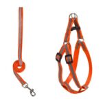 Arnes-correa-1cm-reflectante-arnes-2cm-naranjo-1-1.jpg Arnes correa 1cm reflectante arnes 2cm naranjo 1 1