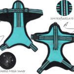 Arnes-perro-gande1-1.jpg Arnes perro gande1 1