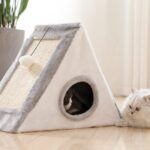 Casa-piramide3-1.jpg Casa piramide3 1