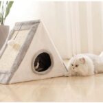 Casa-piramide5-1.jpg Casa piramide5 1