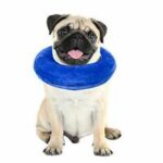 Collar-inflable-1.jpg Collar inflable 1