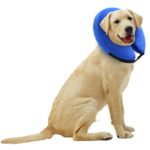 Collar-inflable5-1.jpg Collar inflable5 1