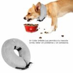 Collarinflable-1-1.jpg Collarinflable 1 1