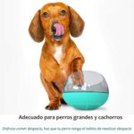 Comedero-ansiedad-L-2-1.jpg Comedero ansiedad L 2 1