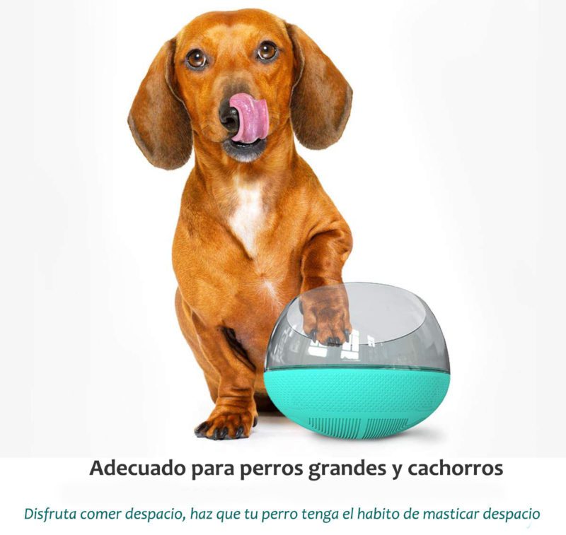 Comedero-ansiedad-L-2-1.jpg Comedero ansiedad L 2 1