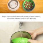 Comedero-ansiedad-L-5-1.jpg Comedero ansiedad L 5 1