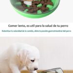 Comedero-ansiedad-L-9-1.jpg Comedero ansiedad L 9 1