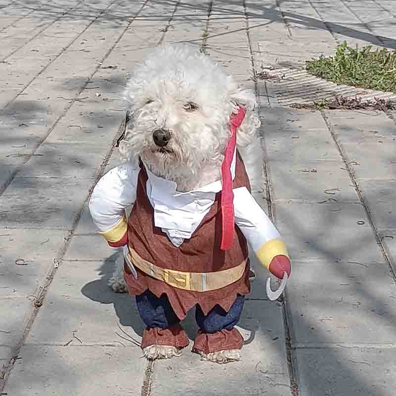 Disfraz-Pirata-1-1.jpg Disfraz Pirata 1 1