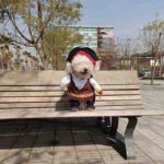 Disfraz-Pirata-2-1.jpg Disfraz Pirata 2 1