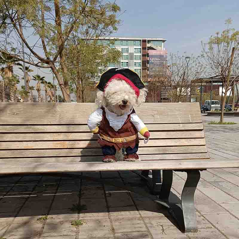 Disfraz-Pirata-2-1.jpg Disfraz Pirata 2 1