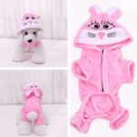 Disfraz-conejo-perro-1.jpg Disfraz conejo perro 1