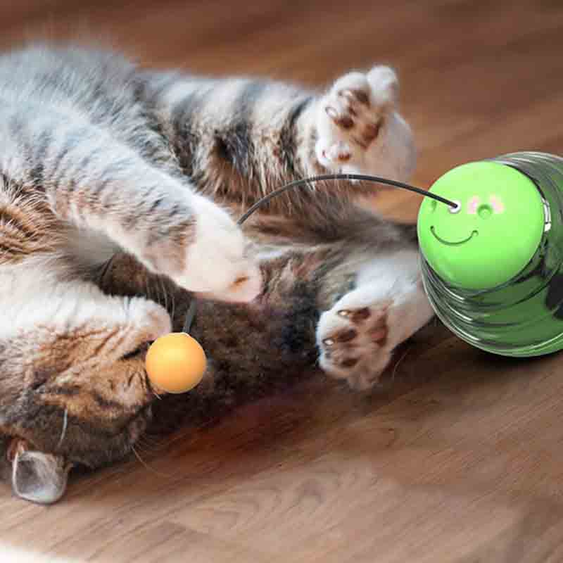 Dispensador-Premios-Porfiado-Gato-1.jpg Dispensador Premios Porfiado Gato 1