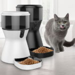 IT201_5-1.jpg IT201 5 1