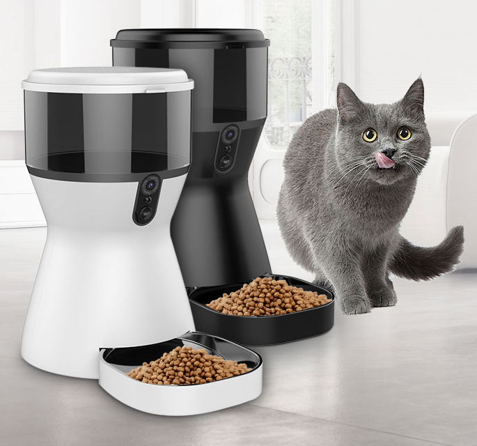 IT201_5-1.jpg IT201 5 1