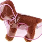 Imagem1-2-1.jpg Imagem1 2 1