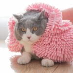 Imagem2-1-1-1.jpg Imagem2 1 1 1