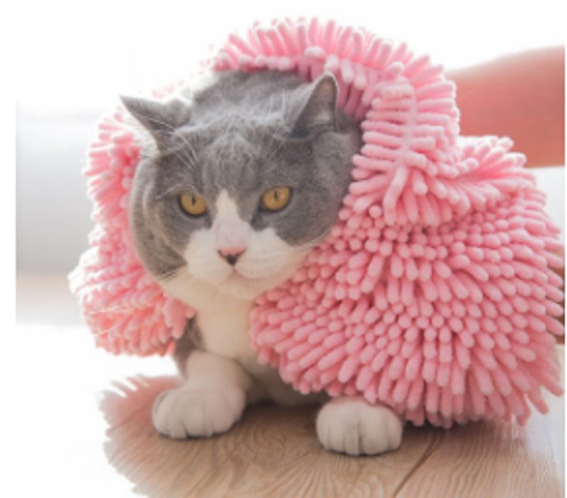 Imagem2-1-1-1.jpg Imagem2 1 1 1